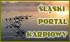 sląski_portal